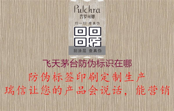 飛天茅臺(tái)防偽標(biāo)識(shí)在哪1.jpg